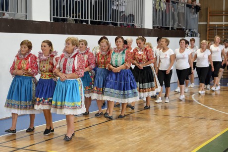 SokolTN100_1042