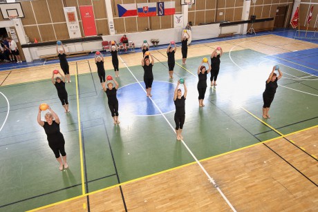 SokolTN100_1149