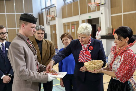SokolTN100_1601